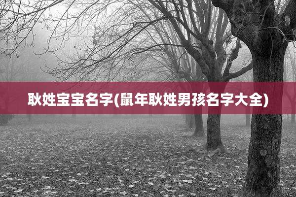 耿姓宝宝名字(鼠年耿姓男孩名字大全)