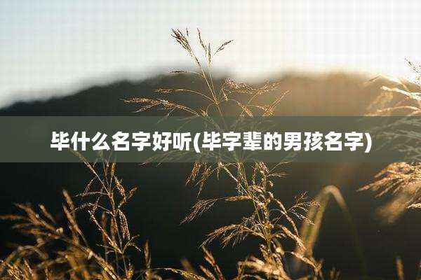 毕什么名字好听(毕字辈的男孩名字)