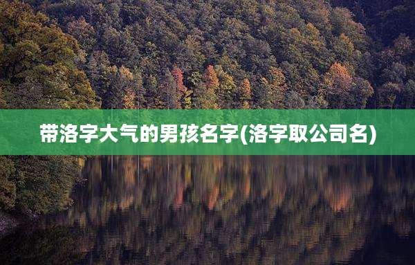 带洛字大气的男孩名字(洛字取公司名)