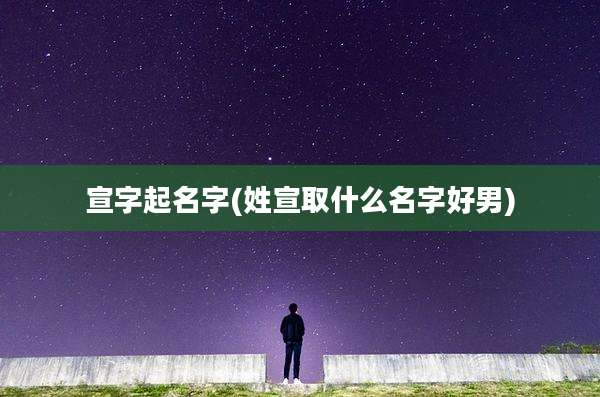 宣字起名字(姓宣取什么名字好男)
