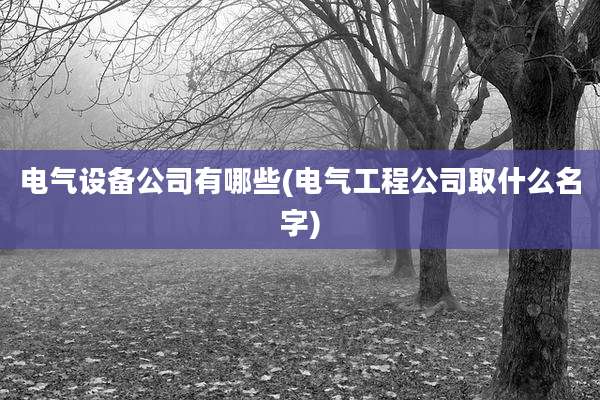 电气设备公司有哪些(电气工程公司取什么名字)