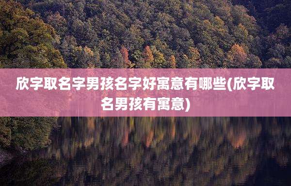 欣字取名字男孩名字好寓意有哪些(欣字取名男孩有寓意)