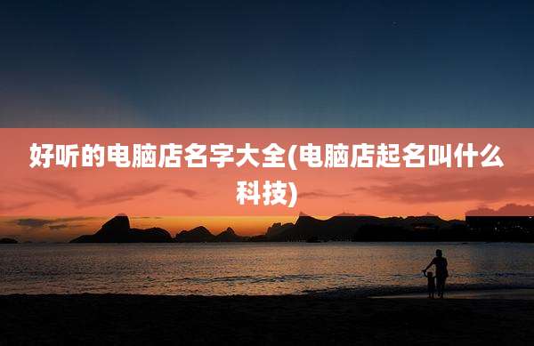 好听的电脑店名字大全(电脑店起名叫什么科技)