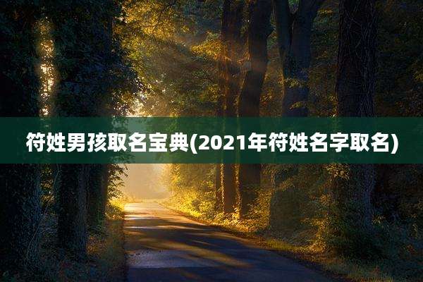符姓男孩取名宝典(2021年符姓名字取名)