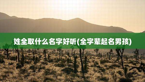 姓全取什么名字好听(全字辈起名男孩)