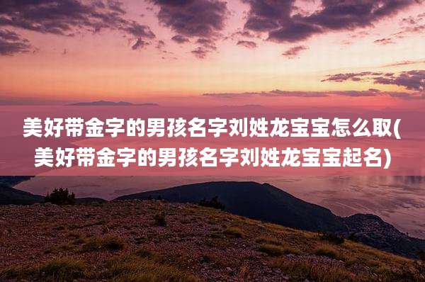 美好带金字的男孩名字刘姓龙宝宝怎么取(美好带金字的男孩名字刘姓龙宝宝起名)
