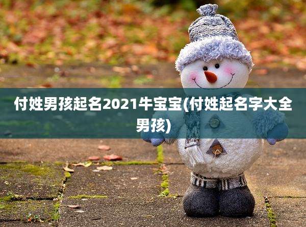 付姓男孩起名2021牛宝宝(付姓起名字大全男孩)