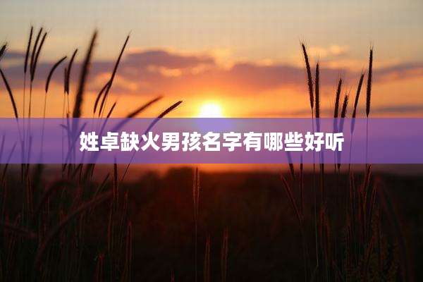 姓卓缺火男孩名字有哪些好听