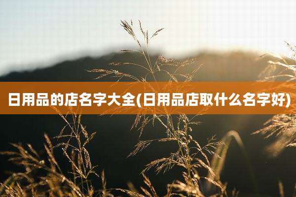 日用品的店名字大全(日用品店取什么名字好)