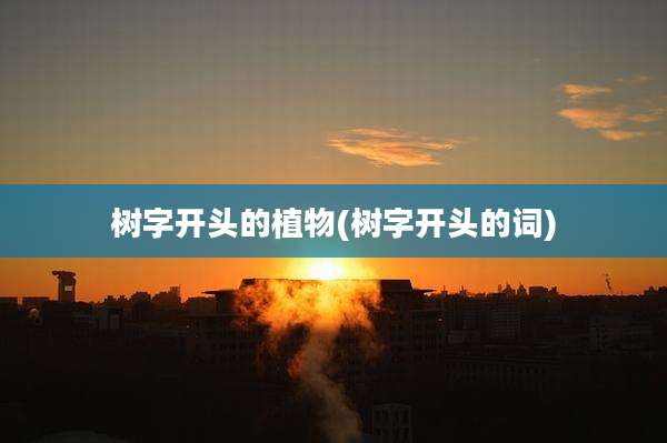 树字开头的植物(树字开头的词)