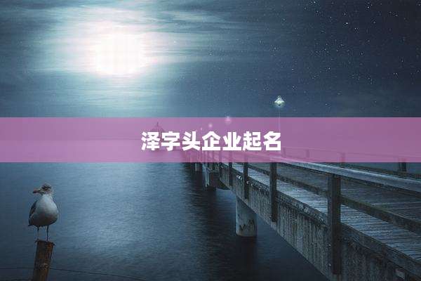 泽字头企业起名