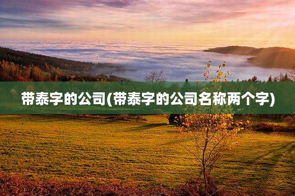 带泰字的公司(带泰字的公司名称两个字)