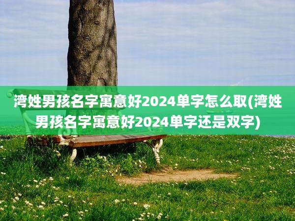 湾姓男孩名字寓意好2024单字怎么取(湾姓男孩名字寓意好2024单字还是双字)