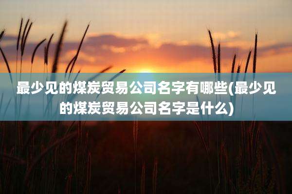 最少见的煤炭贸易公司名字有哪些(最少见的煤炭贸易公司名字是什么)