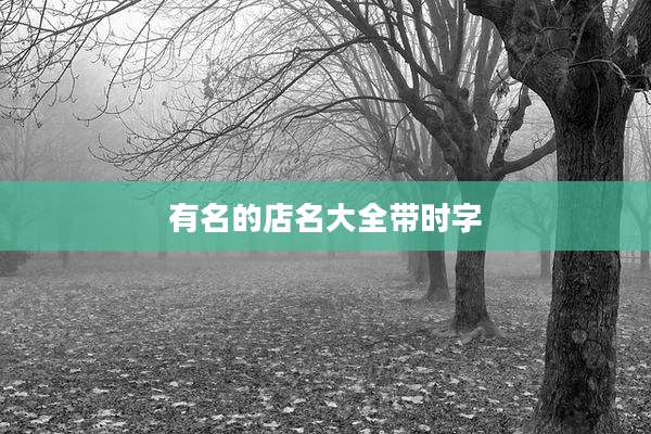 有名的店名大全带时字