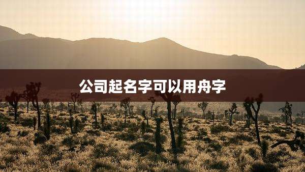 公司起名字可以用舟字