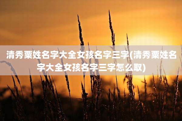清秀粟姓名字大全女孩名字三字(清秀粟姓名字大全女孩名字三字怎么取)