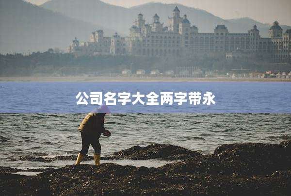公司名字大全两字带永