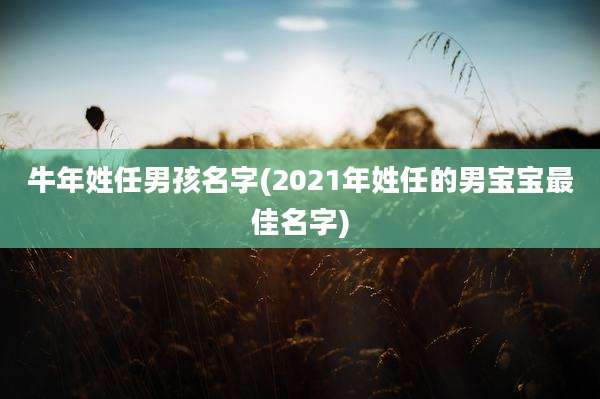 牛年姓任男孩名字(2021年姓任的男宝宝最佳名字)