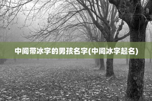 中间带冰字的男孩名字(中间冰字起名)