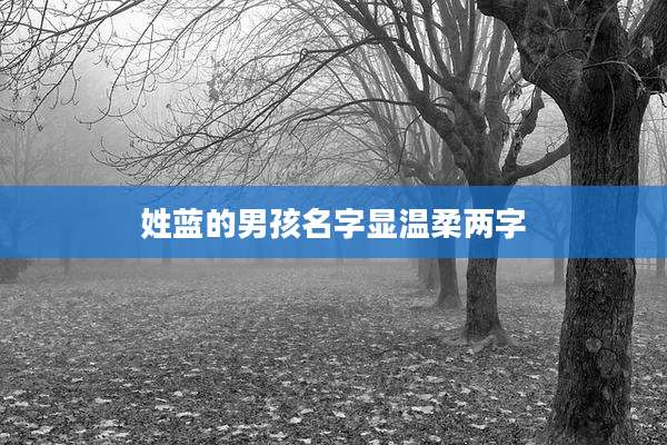 姓蓝的男孩名字显温柔两字