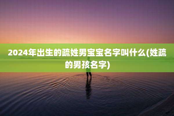 2024年出生的疏姓男宝宝名字叫什么(姓疏的男孩名字)