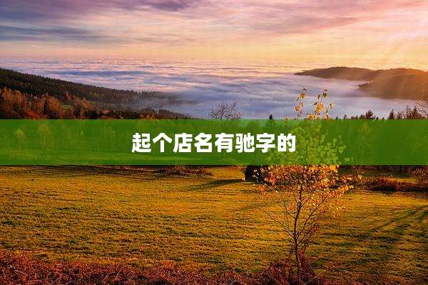 起个店名有驰字的