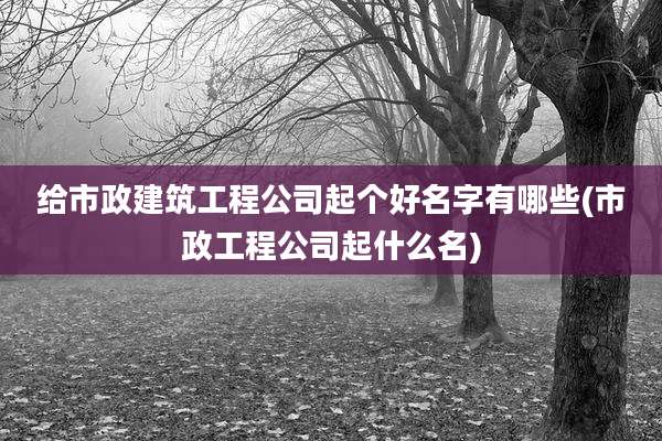 给市政建筑工程公司起个好名字有哪些(市政工程公司起什么名)