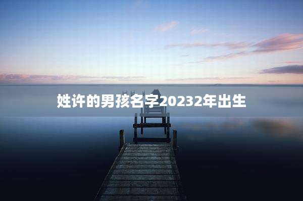 姓许的男孩名字20232年出生
