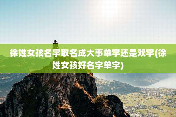 徐姓女孩名字取名成大事单字还是双字(徐姓女孩好名字单字)