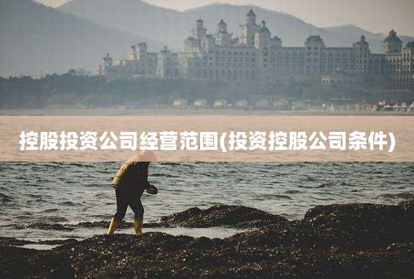 控股投资公司经营范围(投资控股公司条件)