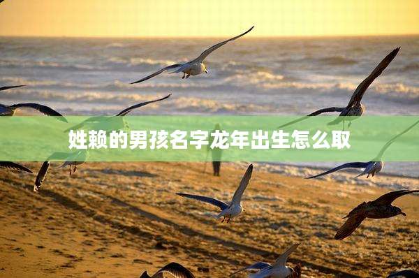 姓赖的男孩名字龙年出生怎么取