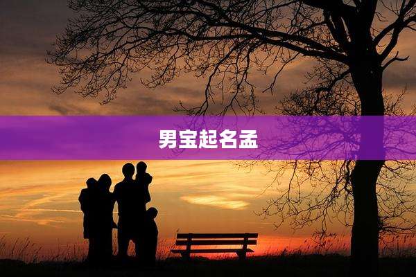 男宝起名孟