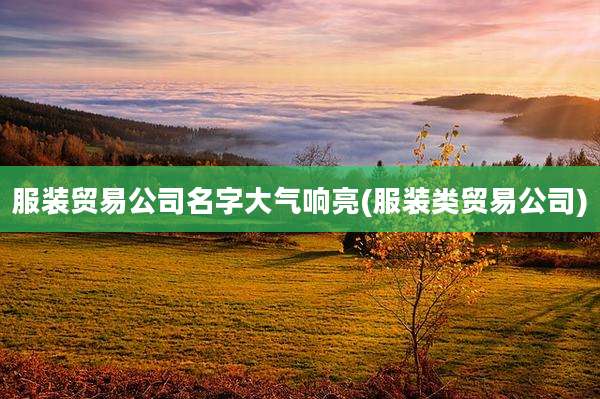 服装贸易公司名字大气响亮(服装类贸易公司)