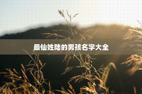 最仙姓陆的男孩名字大全