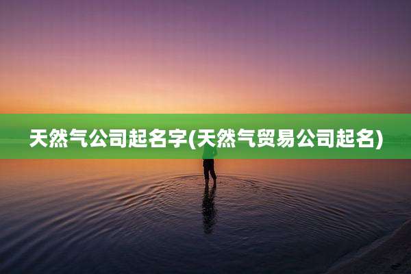 天然气公司起名字(天然气贸易公司起名)