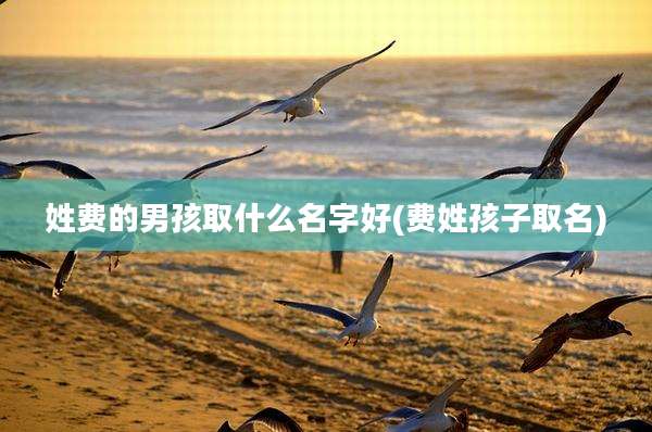 姓费的男孩取什么名字好(费姓孩子取名)