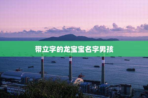 带立字的龙宝宝名字男孩