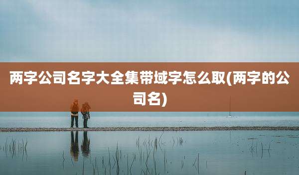 两字公司名字大全集带域字怎么取(两字的公司名)