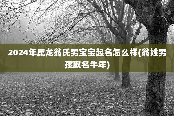 2024年属龙翁氏男宝宝起名怎么样(翁姓男孩取名牛年)