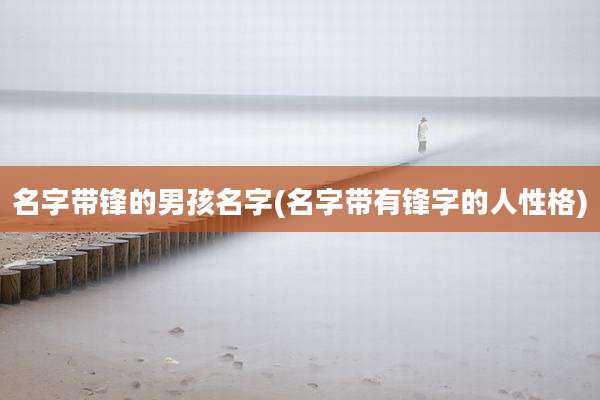 名字带锋的男孩名字(名字带有锋字的人性格)