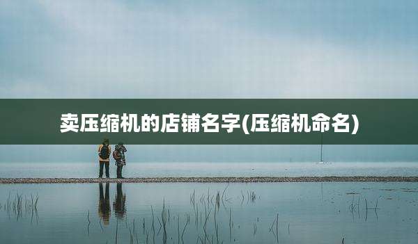 卖压缩机的店铺名字(压缩机命名)
