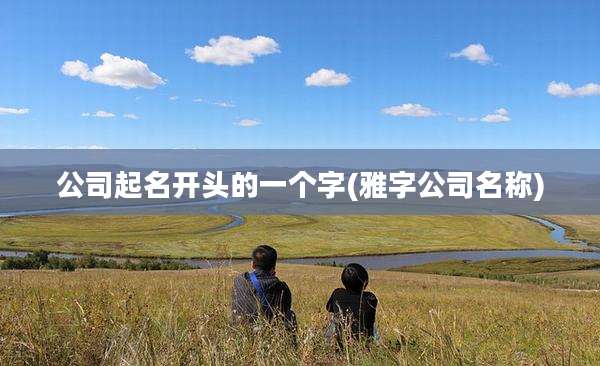 公司起名开头的一个字(雅字公司名称)