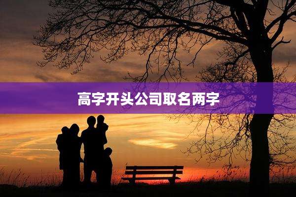 高字开头公司取名两字