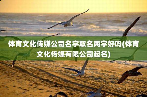 体育文化传媒公司名字取名两字好吗(体育文化传媒有限公司起名)