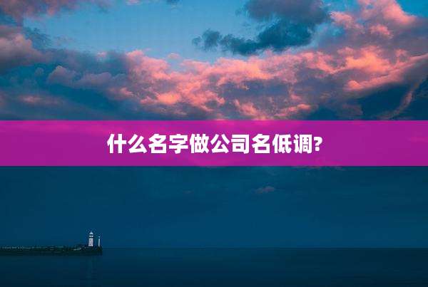 什么名字做公司名低调?