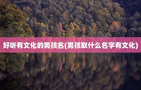 好听有文化的男孩名(男孩取什么名字有文化)