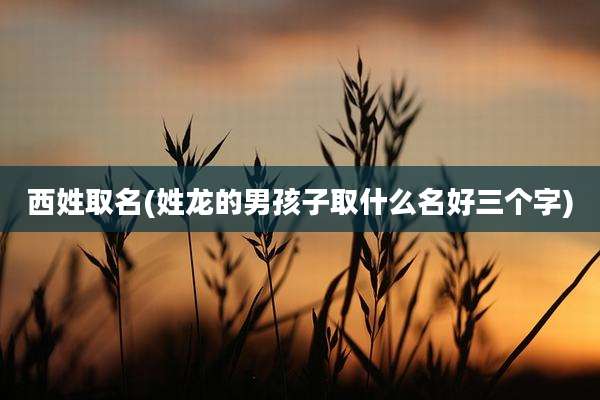 西姓取名(姓龙的男孩子取什么名好三个字)