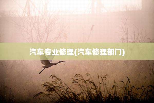 汽车专业修理(汽车修理部门)