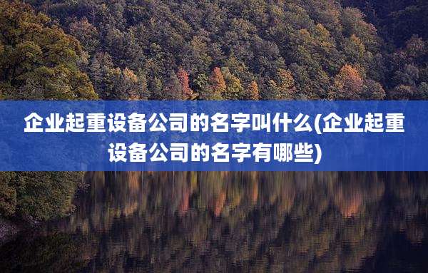 企业起重设备公司的名字叫什么(企业起重设备公司的名字有哪些)